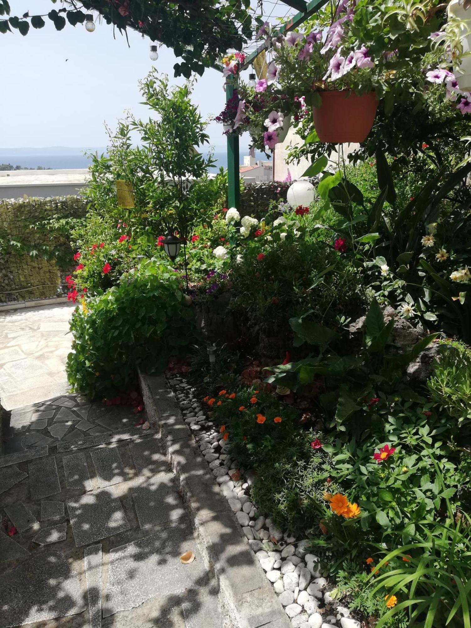 Apartment D&M1 Makarska Exterior photo